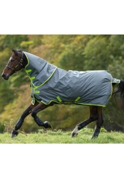 Amigo Hero 900 Plus Lite 100g - Grey/Lime