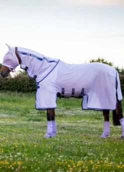 Amigo Bug Buster - Lavender/Atlantic