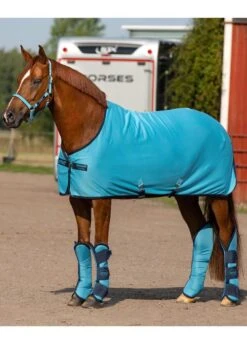 Amigo Jersey Cooler - Delphinium