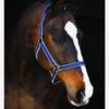 Amigo Headcollar - Navy/Silver