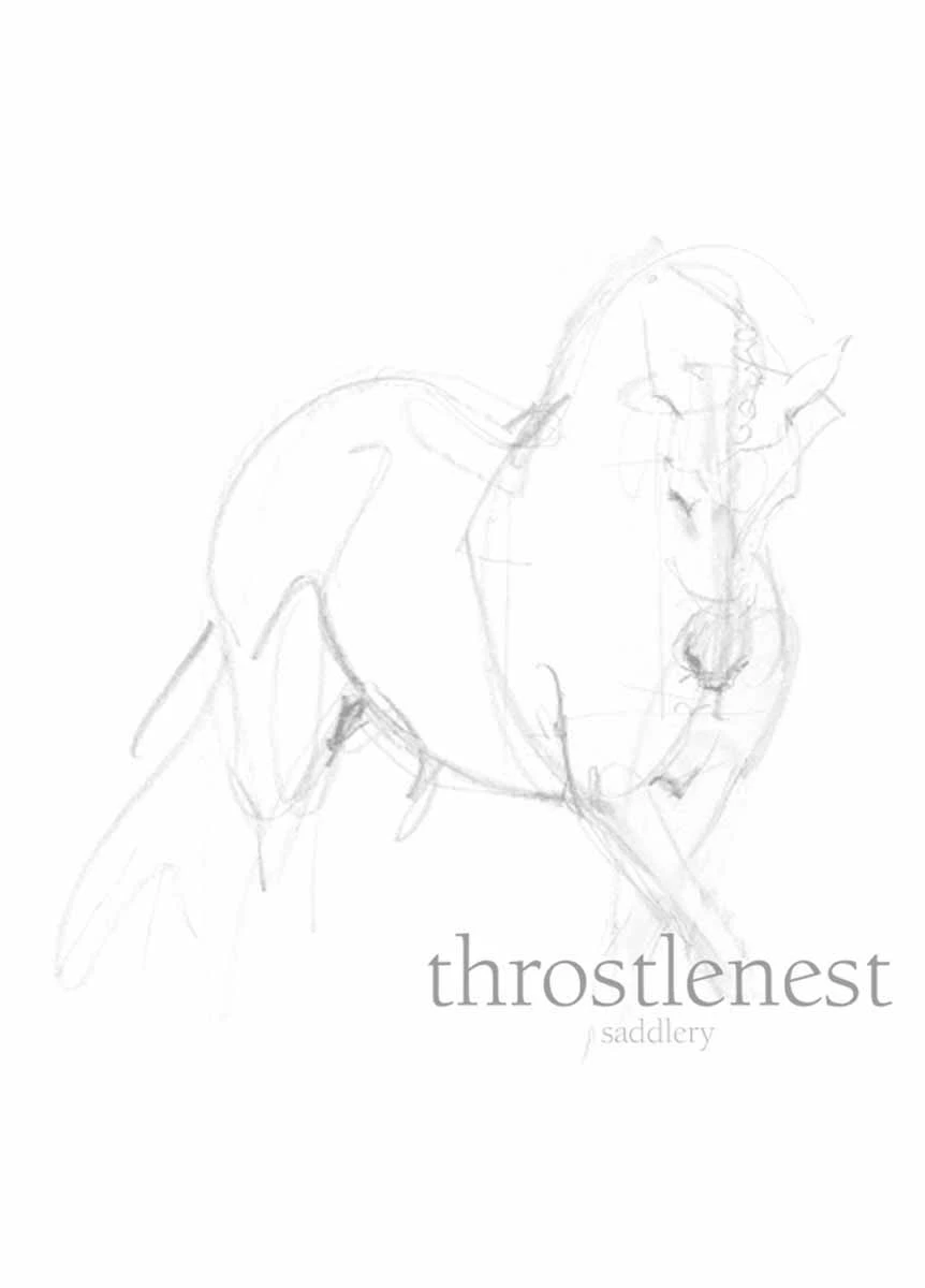 Amigo Bravo Plus 100g Turnout - Navy/Gold/Red - Image 2