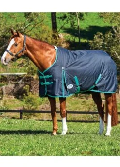 Weatherbeeta ComFiTec Classic Standard Neck Medium Turnout - Black/Green