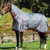 Weatherbeeta ComFiTec Plus Dynamic Combo Heavy Turnout - Grey/Burgundy