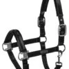 Eskadron Shinegloss Headcollar - Black
