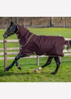 Amigo Hero Ripstop Plus Turnout Rug Lite 0g - Fig