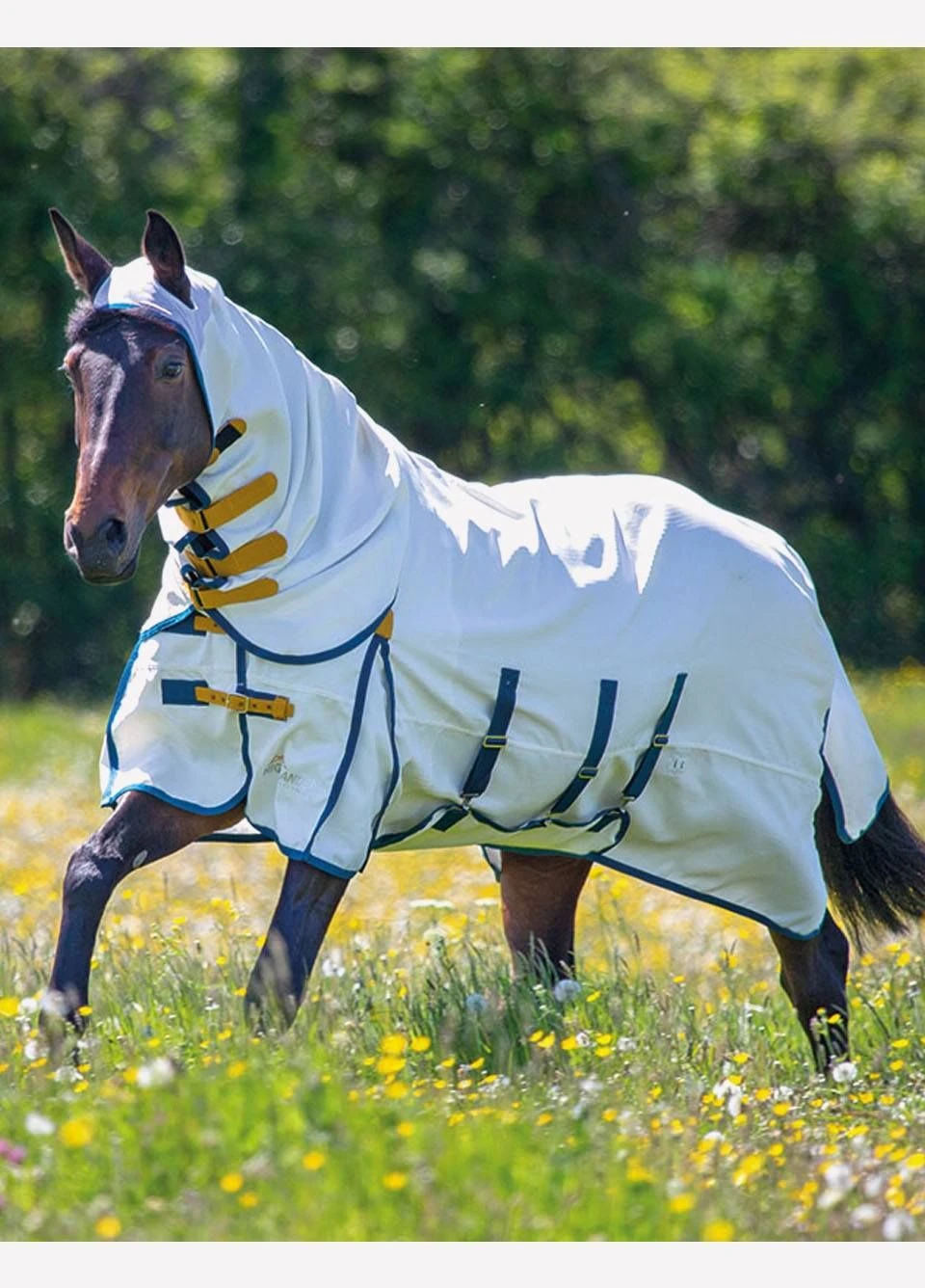 Shires Highlander Plus Sweet-Itch Combo Rug - White