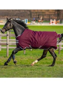 Amigo Hero Ripstop Lite - Fig/Navy