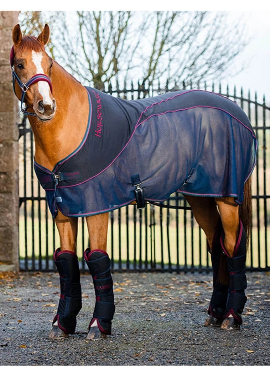 Rambo Sport Cooler - Navy/Burgundy