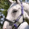 LeMieux Capella Headcollar - Bluebell
