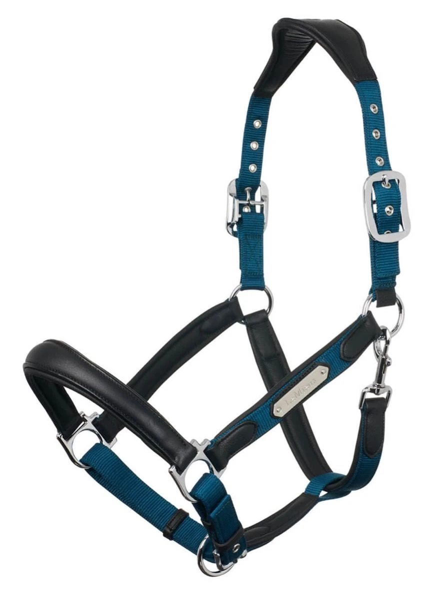 LeMieux Capella Headcollar - Marine - Image 2