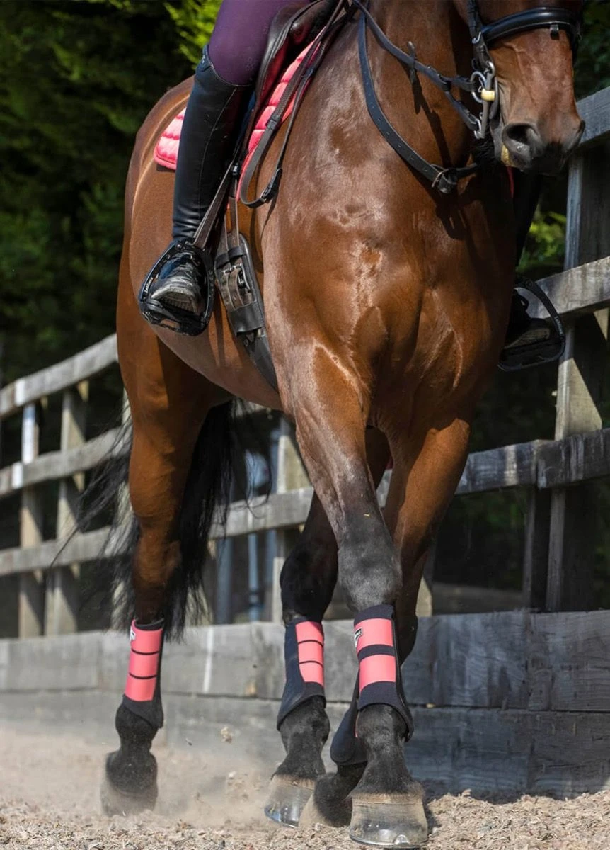 LeMieux Grafter Brushing Boots - Papaya - Image 5