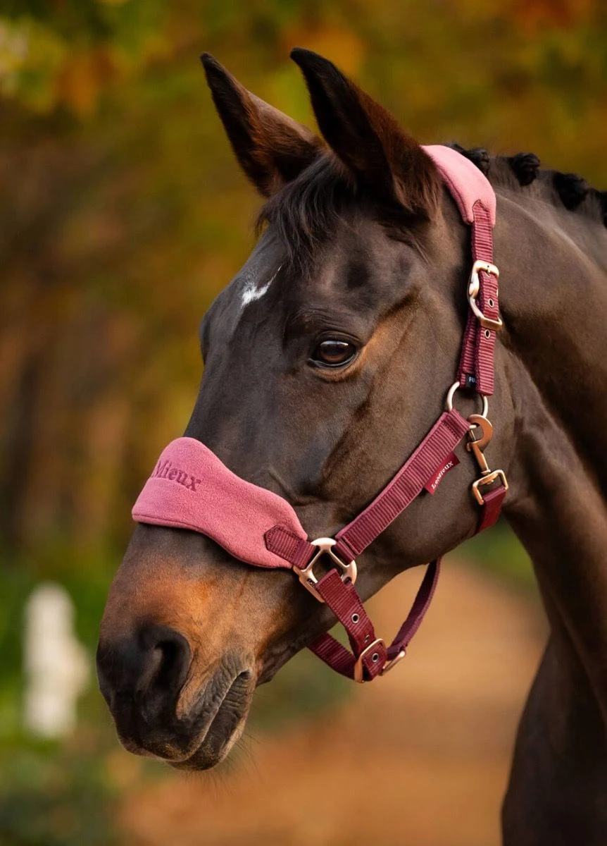 LeMieux Vogue Fleece Headcollar & Leadrope - Orchid - Image 2