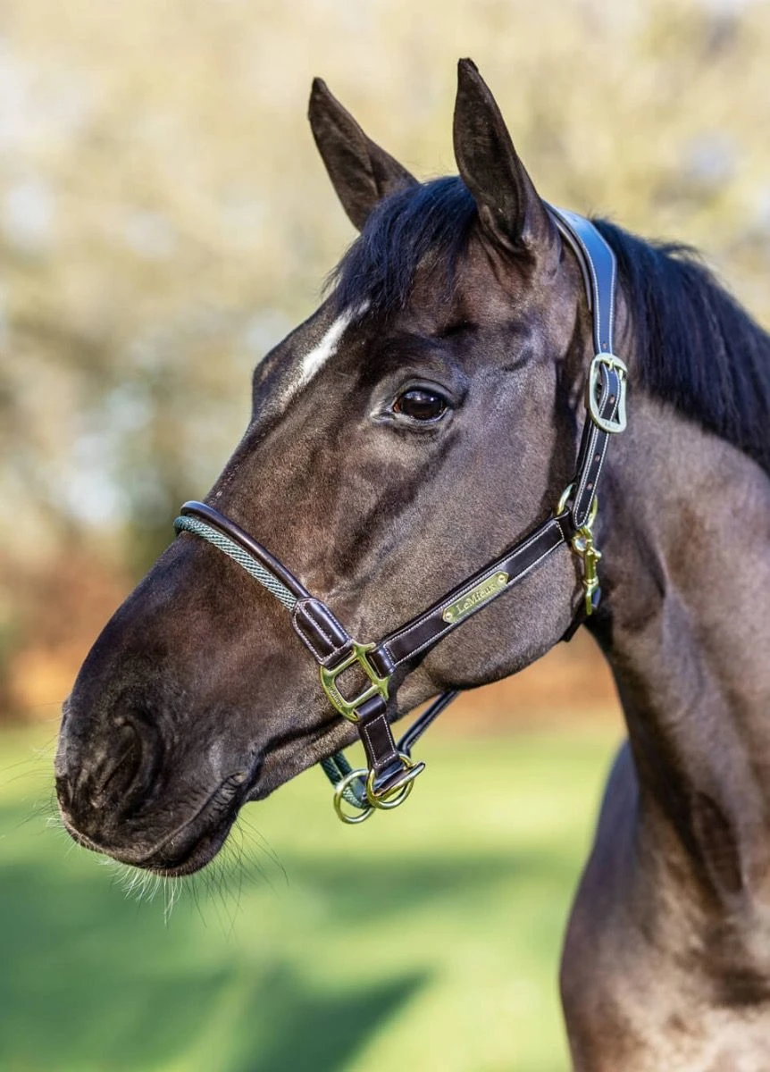 LeMieux Rope Control Headcollar - Brown - Image 2