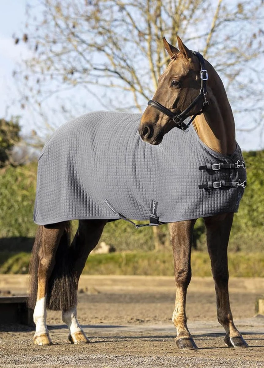 LeMieux Arika Clima-Tek Rug - Grey