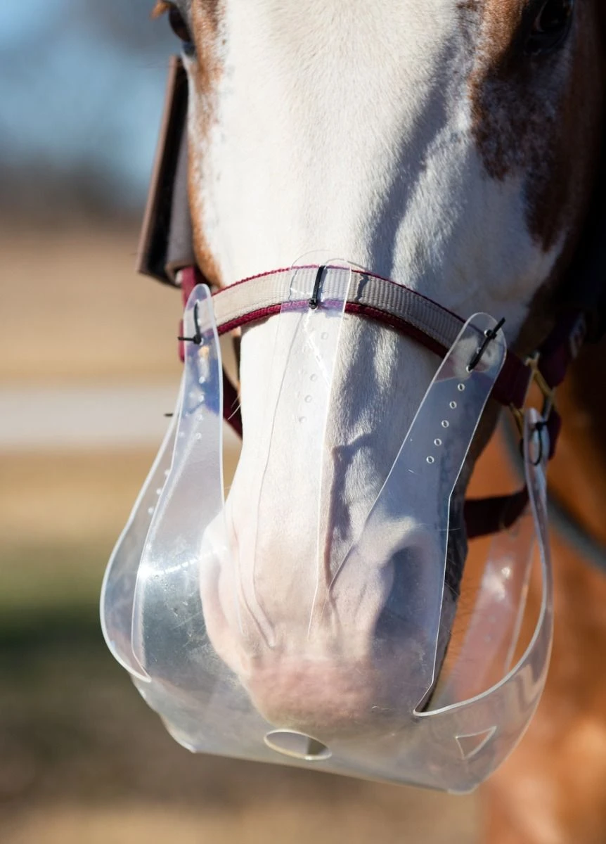 KM Elite ThinLine Flexible Filly Grazing Muzzle - Clear - Image 2