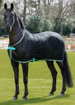 Amigo Net Cooler - Black/Teal