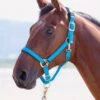 Shires Topaz Padded Headcollar - Bright Blue