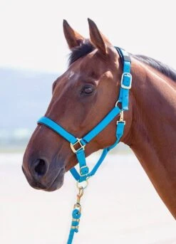 Shires Topaz Padded Headcollar - Bright Blue
