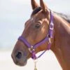 Shires Topaz Padded Headcollar - Purple