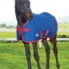 Weatherbeeta Original 1200D Foal Rug - Navy/Red/White