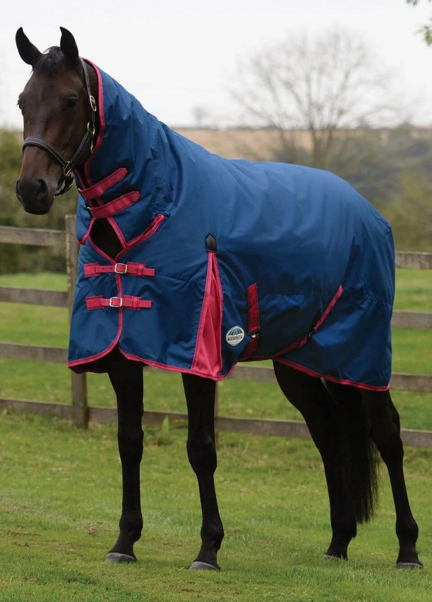 Weatherbeeta ComFITec Classic Combo Neck Med/Lite - Blueberry/Pink